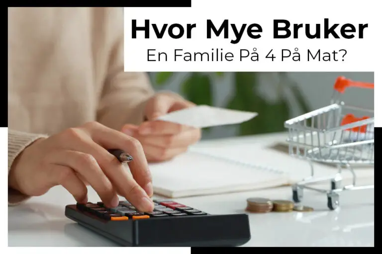 Hvor Mye Bruker En Familie P P Mat Kjaptforklart